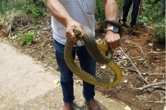 探寻河南，历史与现代交融的文化瑰宝之旅