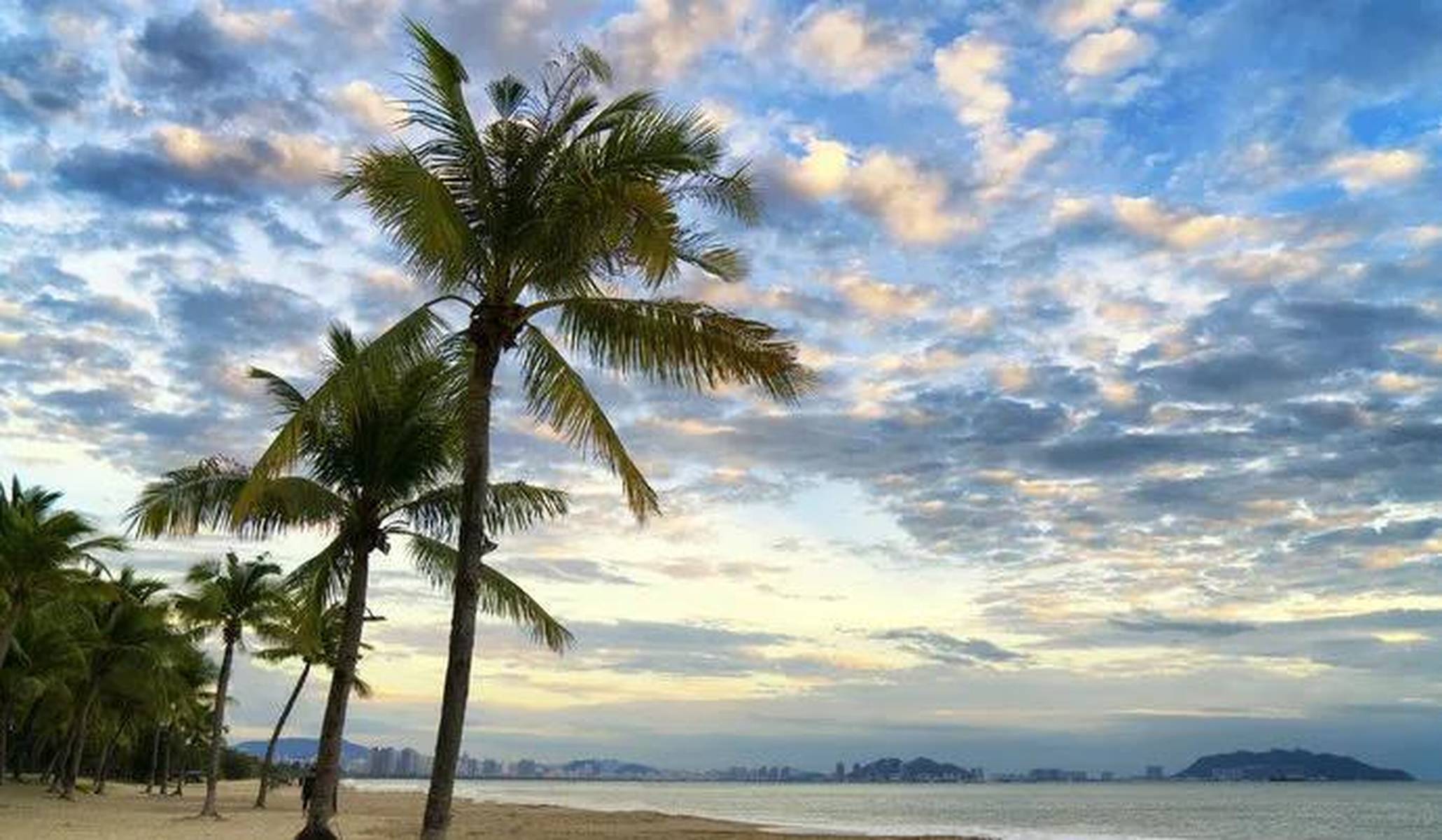 海南热带风情之旅的魅力体验