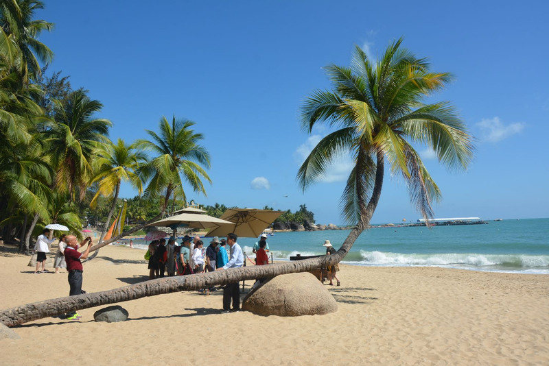 海南,热带天堂的绿色发展新篇章